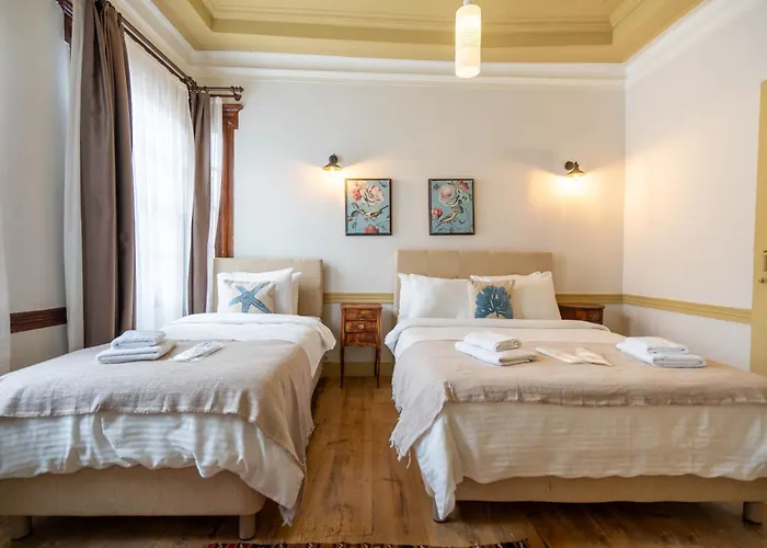 Macaron Konagi Ayvalı