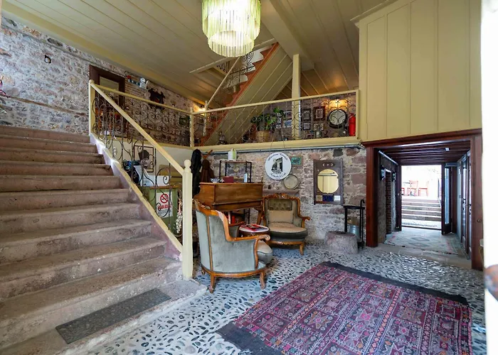 Gasthuis Macaron Konagi