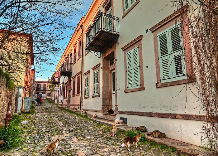 Macaron Konagi Gasthuis 4*