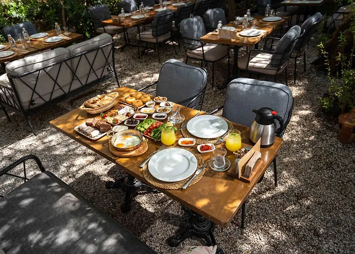 Macaron Konagi Ayvalı