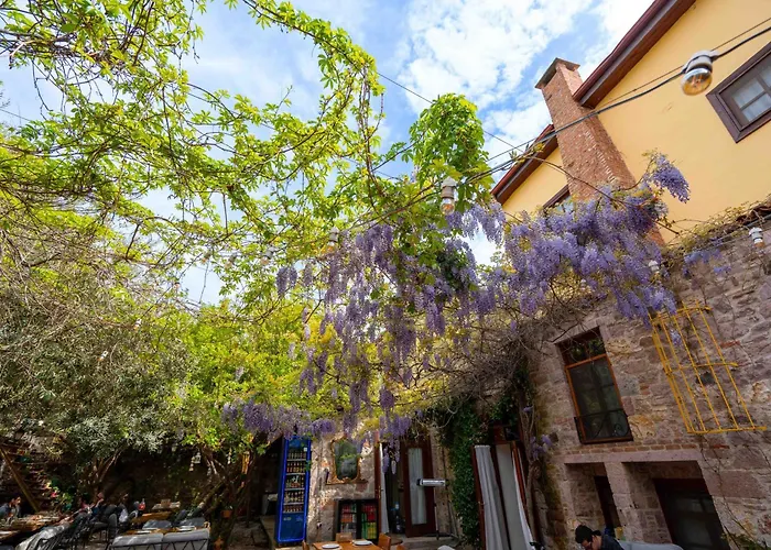 Maison d'hôtes Macaron Konagi Ayvalı